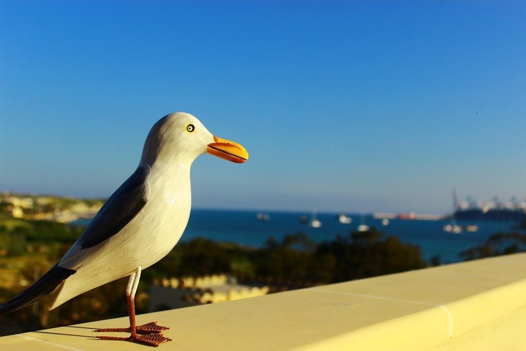 דירות Seagull Penthouse מרסשלוק מראה חיצוני תמונה